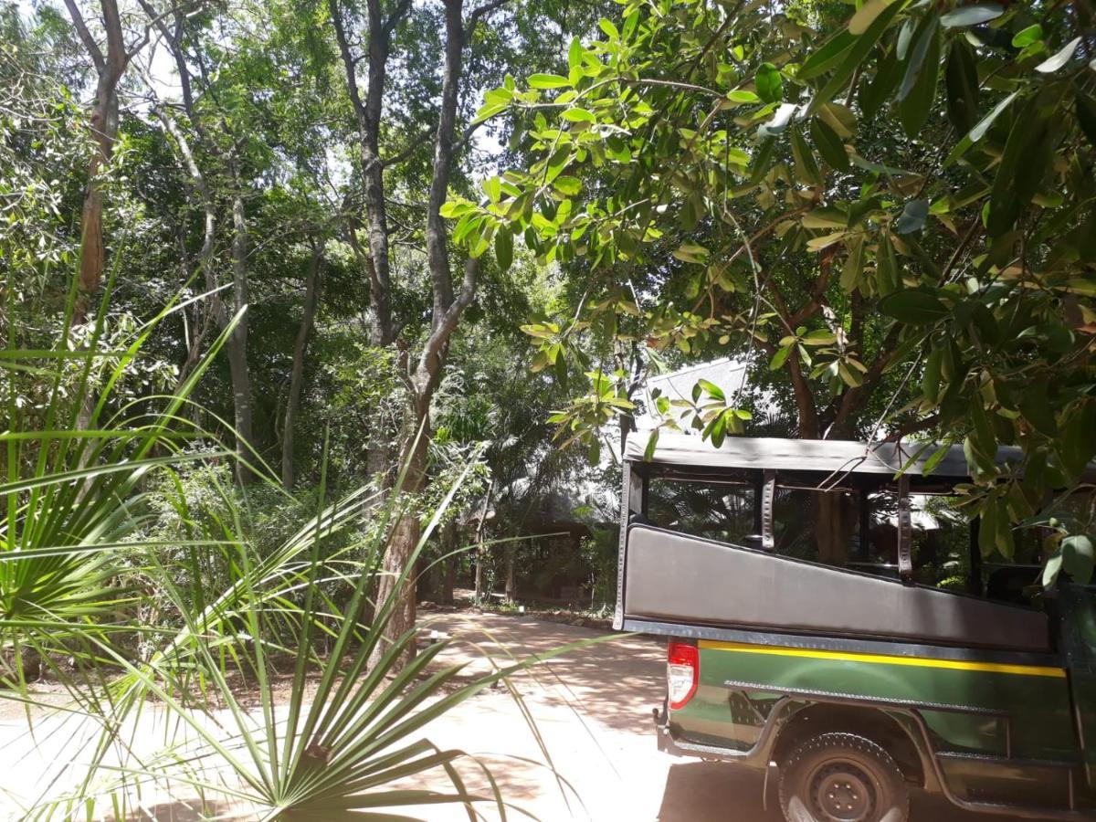 Kruger Eden Lodge Marloth Park Exterior photo